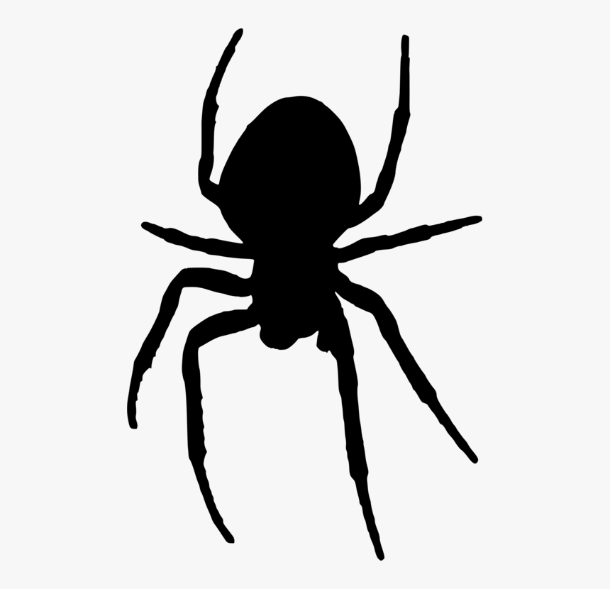 Silhouette,widow Spider,artwork - Creepy Spider Clip Art, HD Png Download