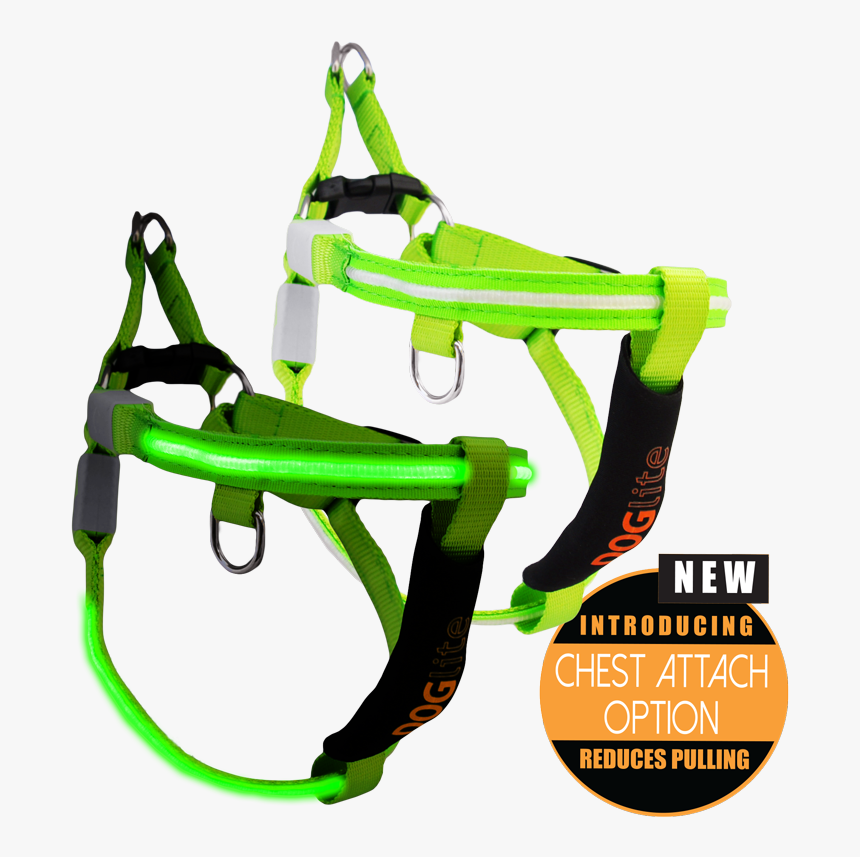 Mini Dog Led Dog Harness - Pet Harness, HD Png Download