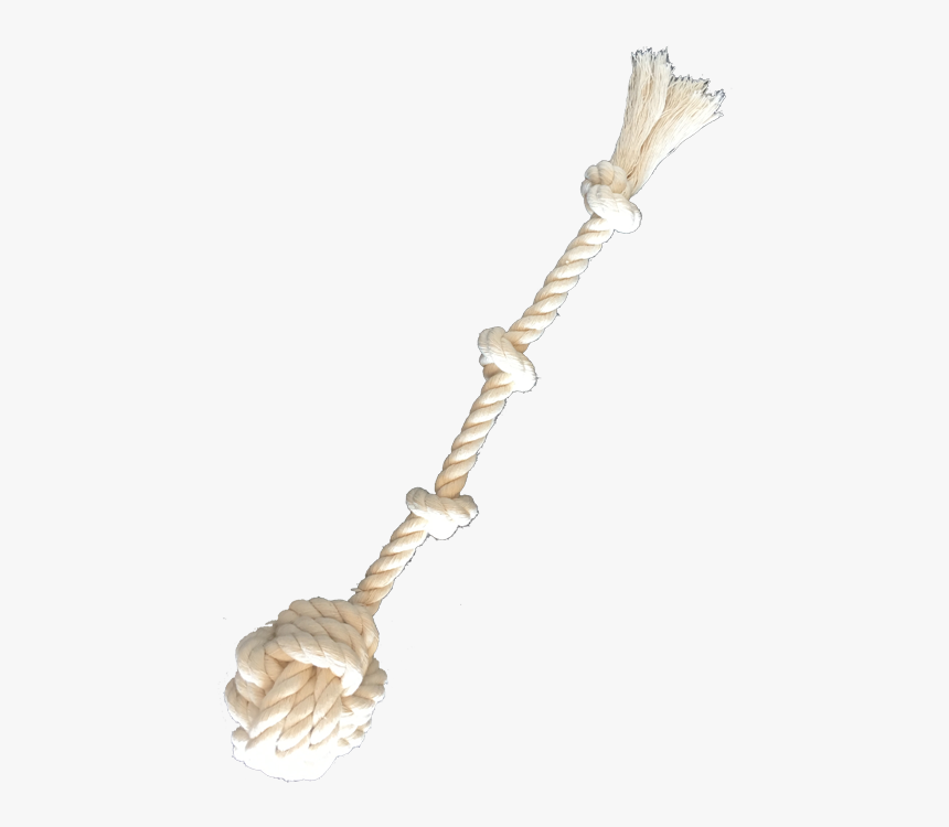Necklace, HD Png Download