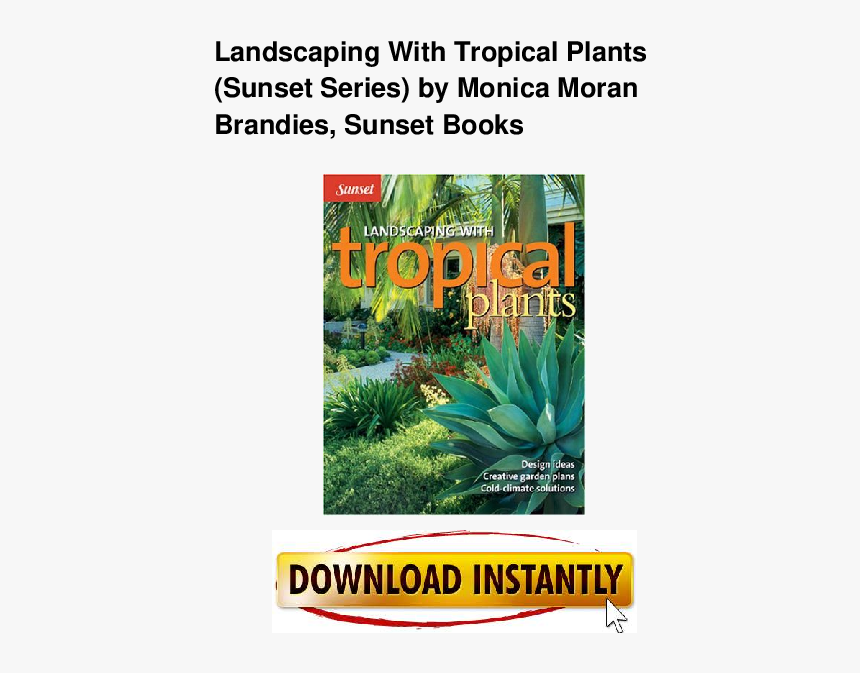 Landscaping Tropical Plants, HD Png Download