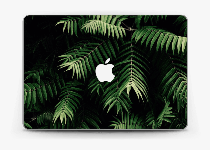 Tropics Skin Macbook Pro Retina 13” - Vinilo De Plantas Png, Transparent Png
