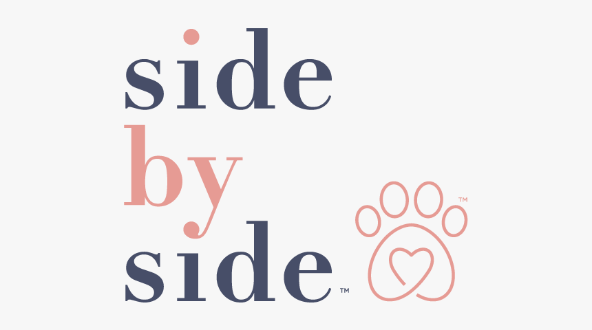 Picture - Graphic Design, HD Png Download