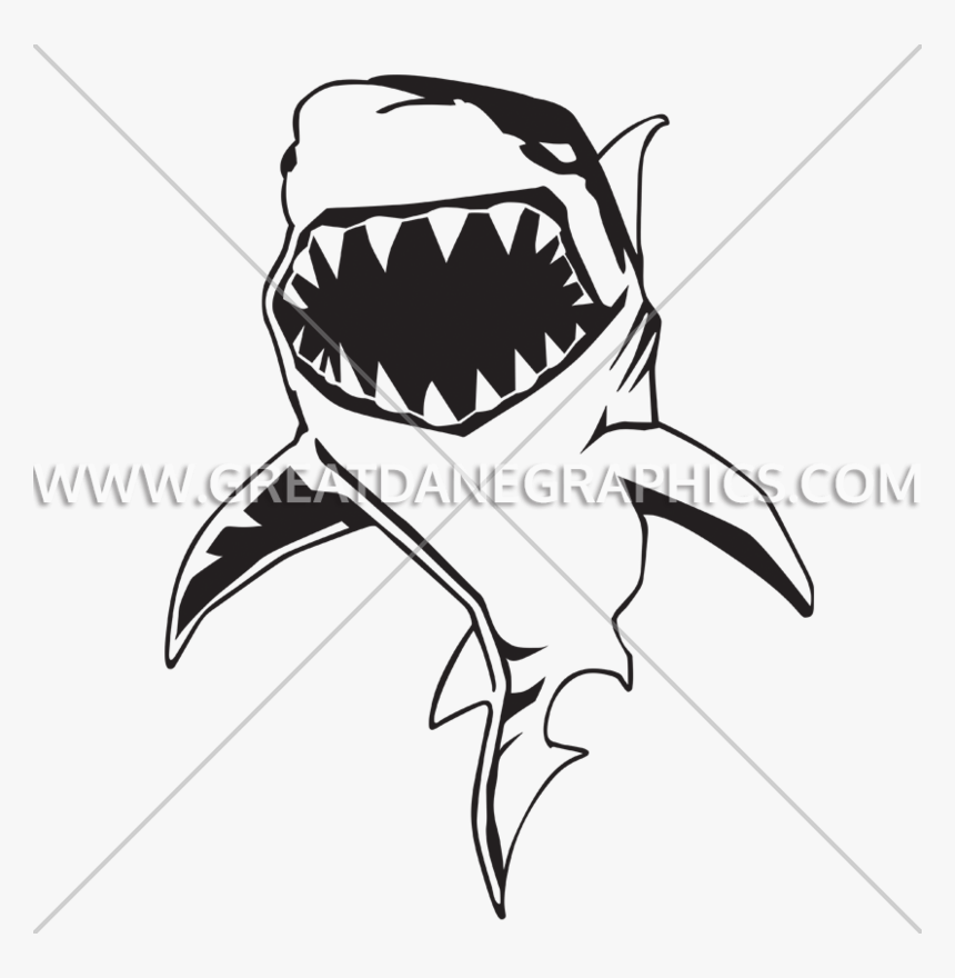 Transparent Bite Clipart - Draw A Shark Bike, HD Png Download