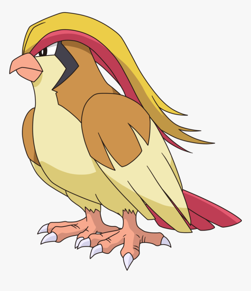 Pidgeot Is A Huge Bird, You An Fly On Her - Pidgeot Png, Transparent Png