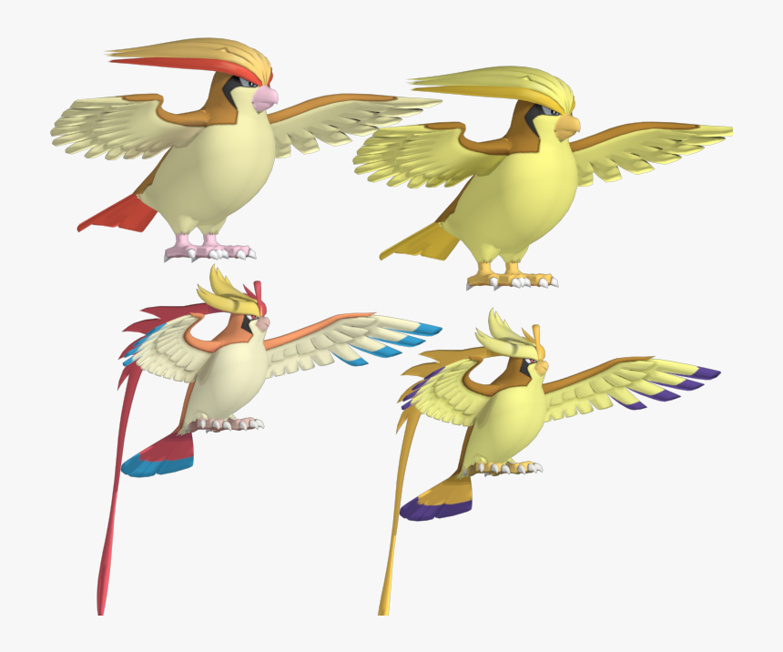 Download Zip Archive - Pidgeotto Pokemon 3d Model, HD Png Download