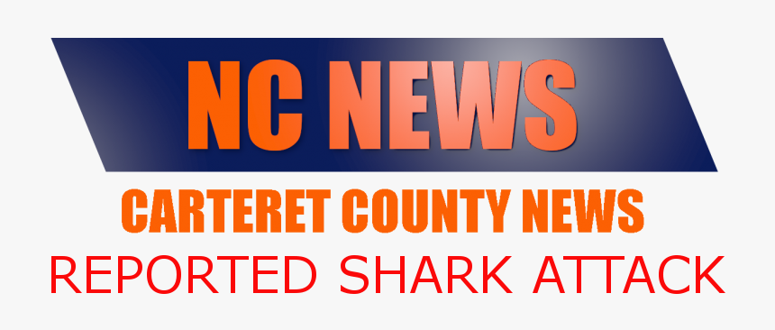 Girl Reportedly Bitten By Shark Fort Beach - Safer Internet Day 2010, HD Png Download