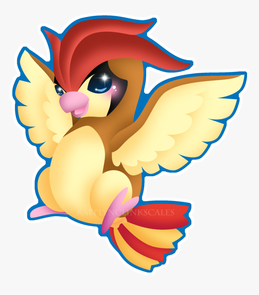 017 Pidgeotto - Pidgeotto - Cute Pidgeotto, HD Png Download