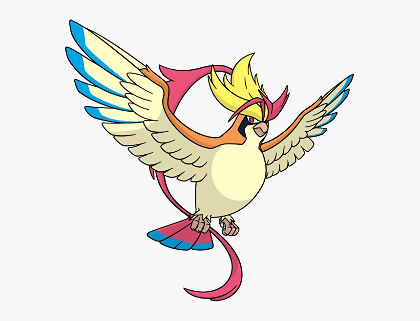 Official Global Link Art Of All The New Megas And Primals - Pokemon Mega Pidgeot, HD Png Download