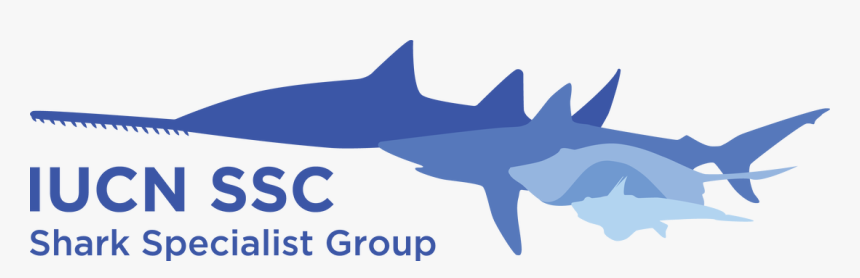 Picture - Iucn Shark Specialist Group, HD Png Download