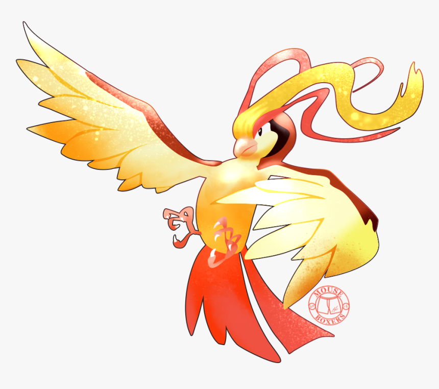 Macaw, HD Png Download