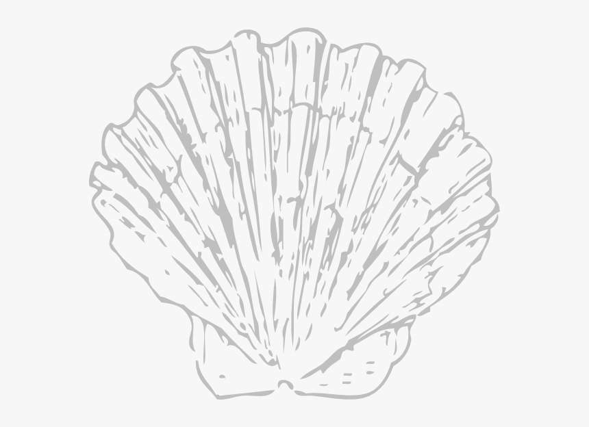 Seashell Clipart Blue, HD Png Download