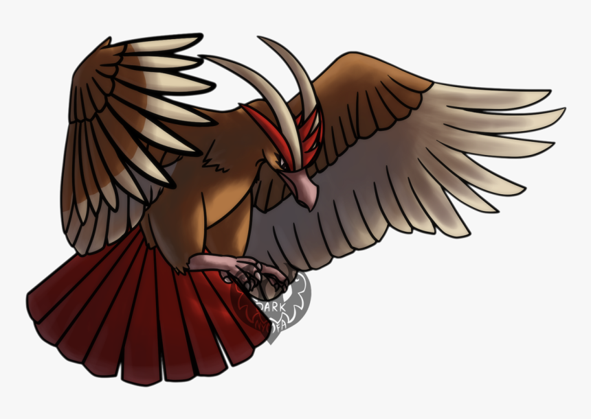 Accipitriformes, HD Png Download