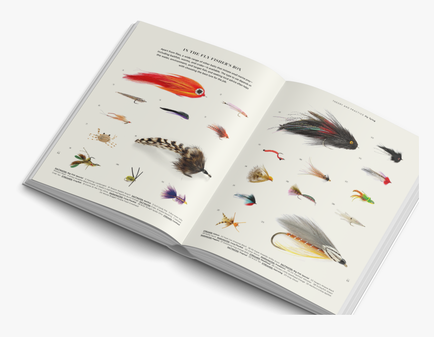 The Fly Fisher Gestalten Book Flyfishing 
 Class - Madagascar Hissing Cockroach, HD Png Download