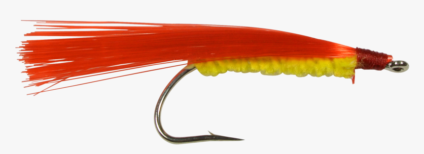 Invertebrate, HD Png Download