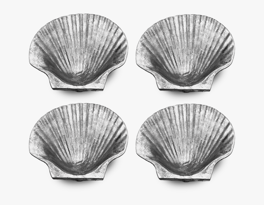 Baltic Clam, HD Png Download