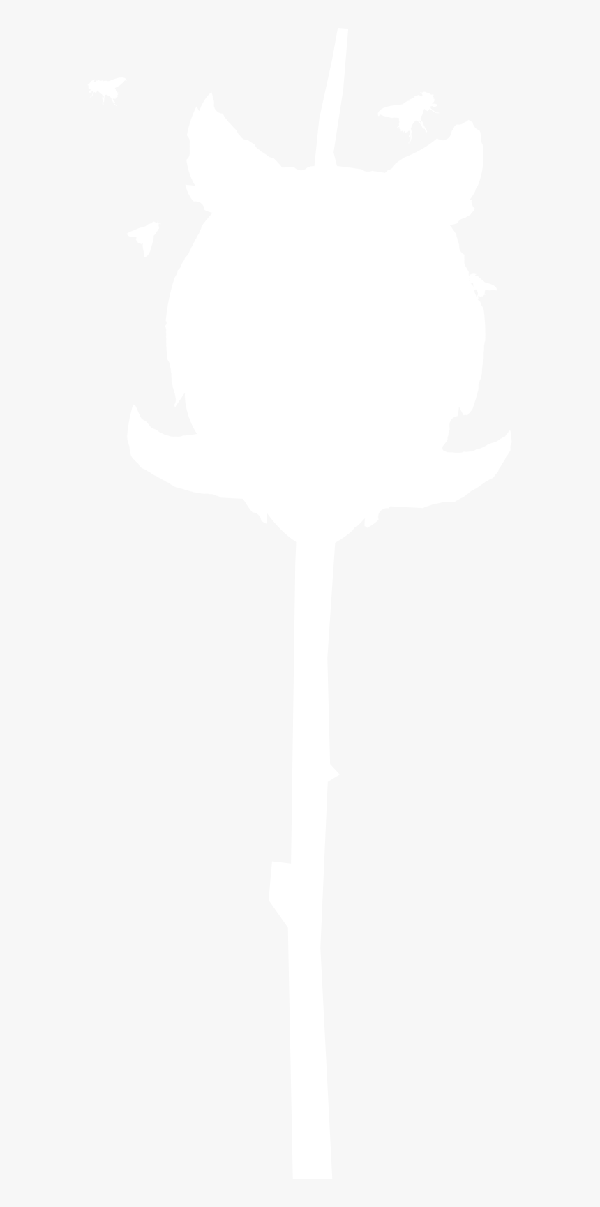 Picture, HD Png Download