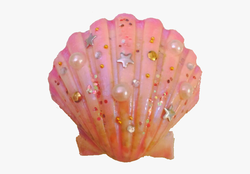 #seashell #shell #ocean #beach #beachtheme #aesthetic - Aesthetic Seashell Png, Transparent Png