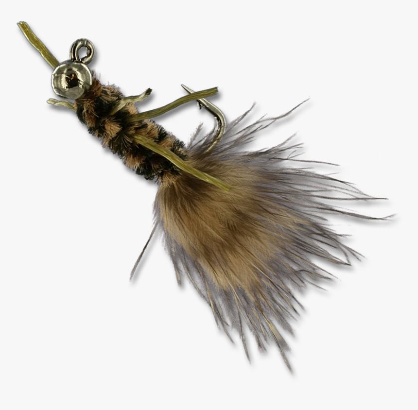 Tj Hooker - Black/brown - Net-winged Insects, HD Png Download