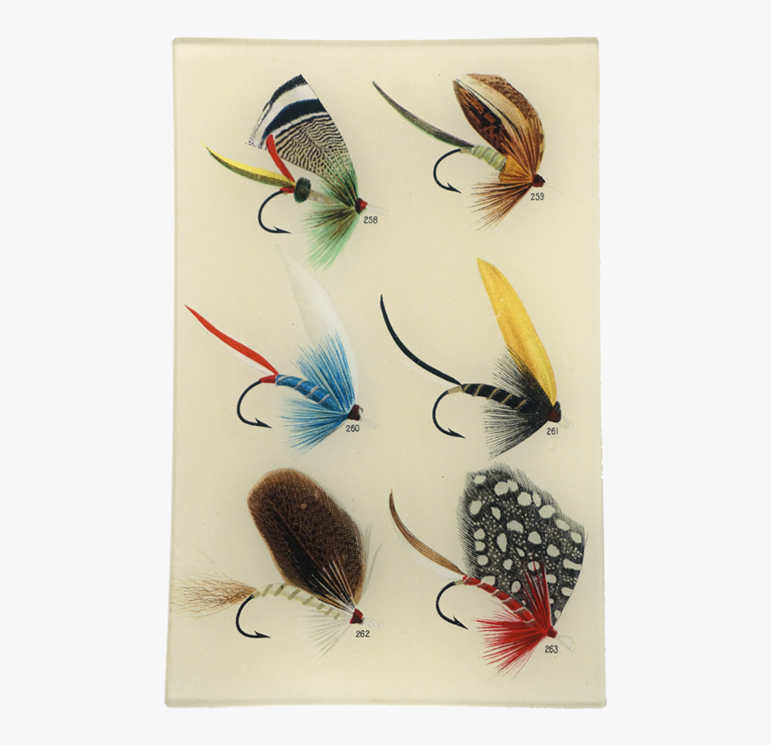 Fishing Flys, HD Png Download