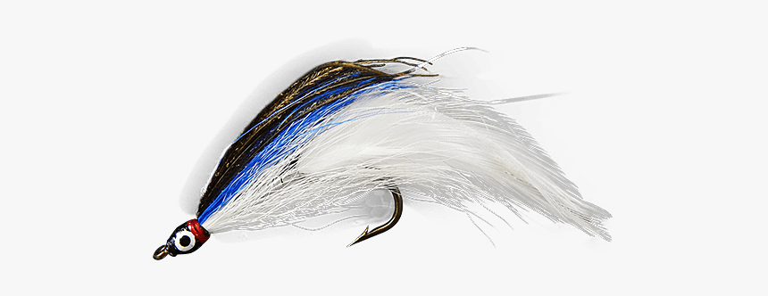 Fish, HD Png Download