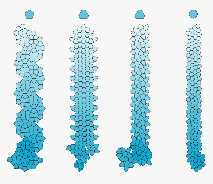 Examples Of Frustrated Particles And Of The Fibers - Agrégation Des Protéines, HD Png Download