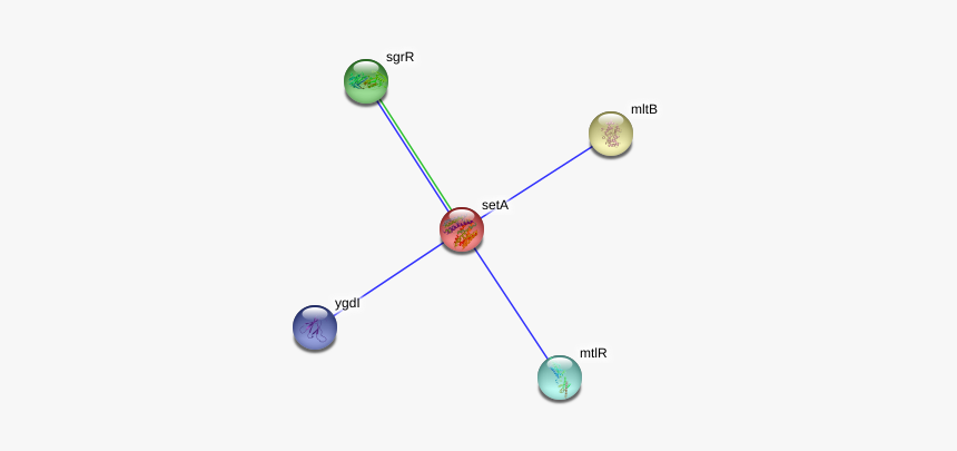 Seta Protein - Circle, HD Png Download
