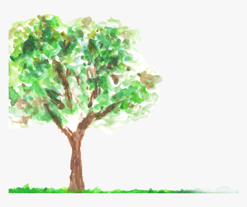 Tree-green - Oak, HD Png Download