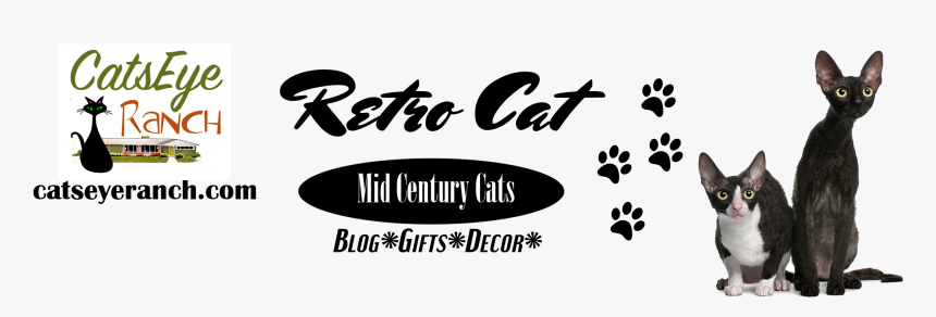 Cat S Eye Ranch - Calligraphy, HD Png Download