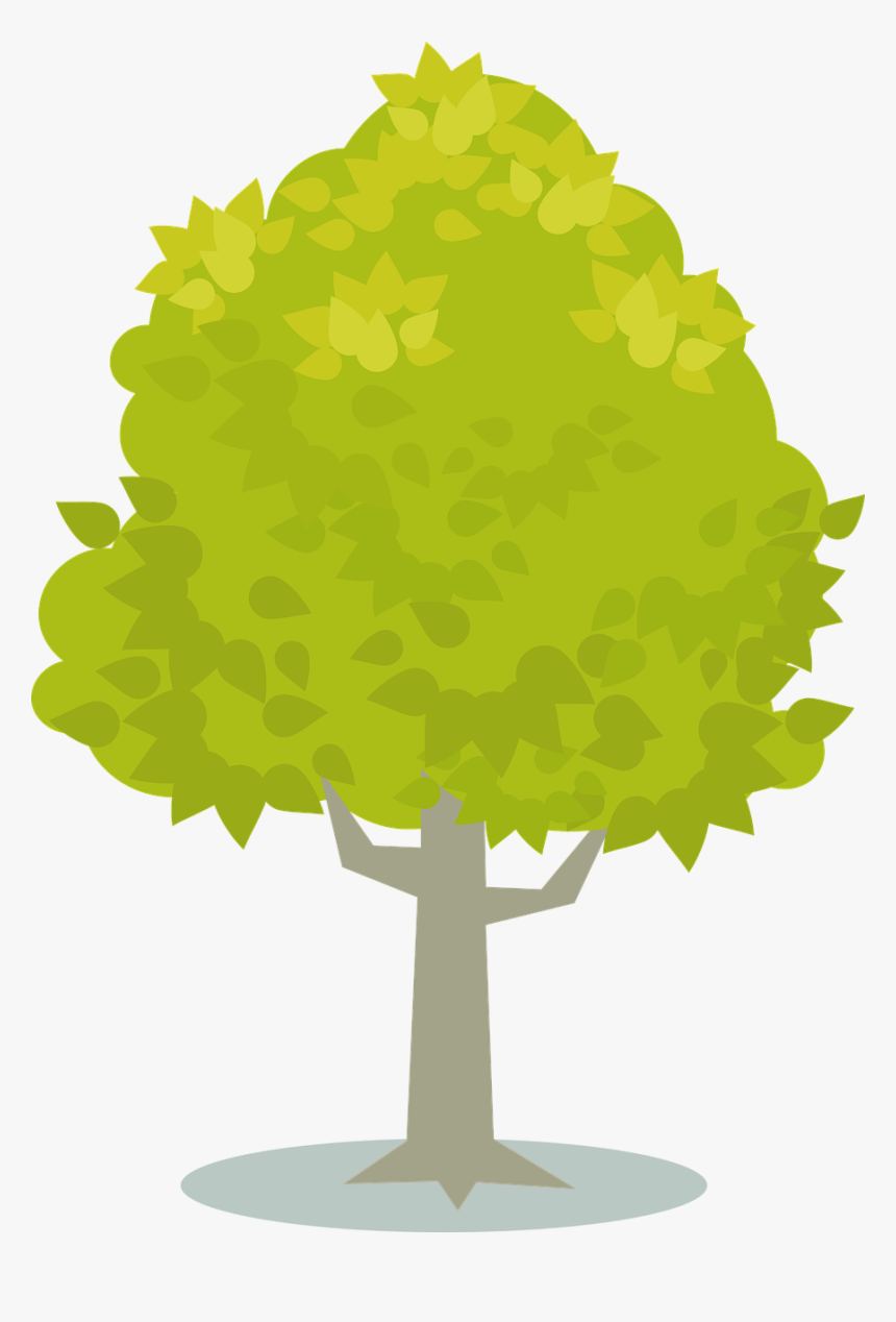 Plant,leaf,tree - ต้นไม้ สี เหลือง Png, Transparent Png