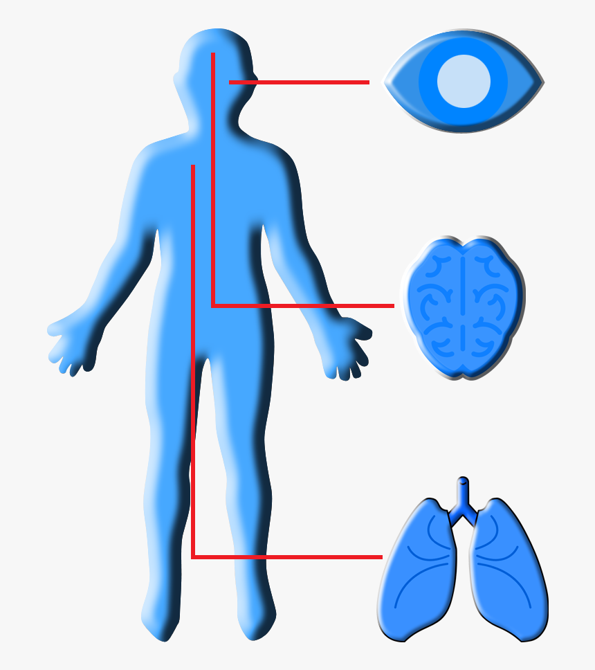 Clip Art, HD Png Download