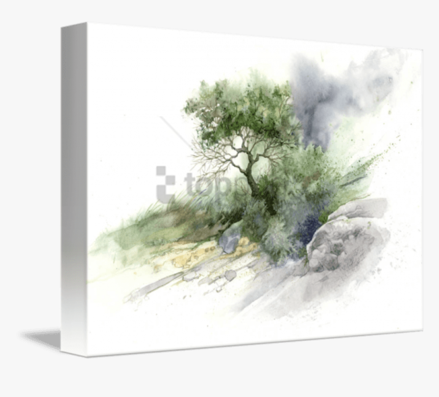 Mind Of Watercolor, HD Png Download