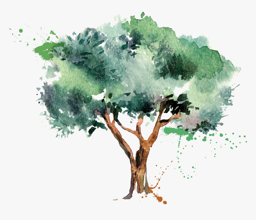 Olive Oil Tree - Anniversary Celebration 19 Year Anniversary, HD Png Download