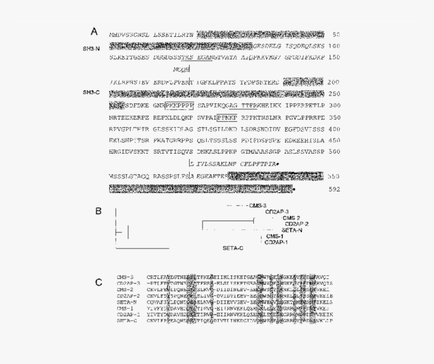 Document, HD Png Download