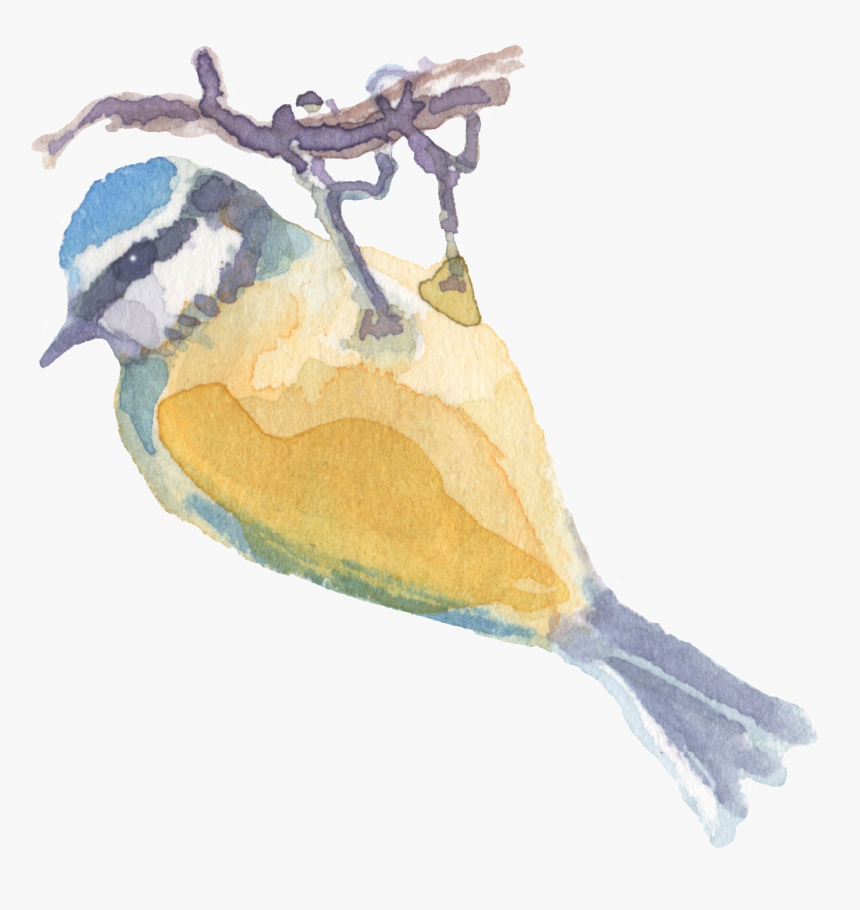 Hand Drawn Catching Tree Branch Watercolor Transparent - Watercolor Paint, HD Png Download