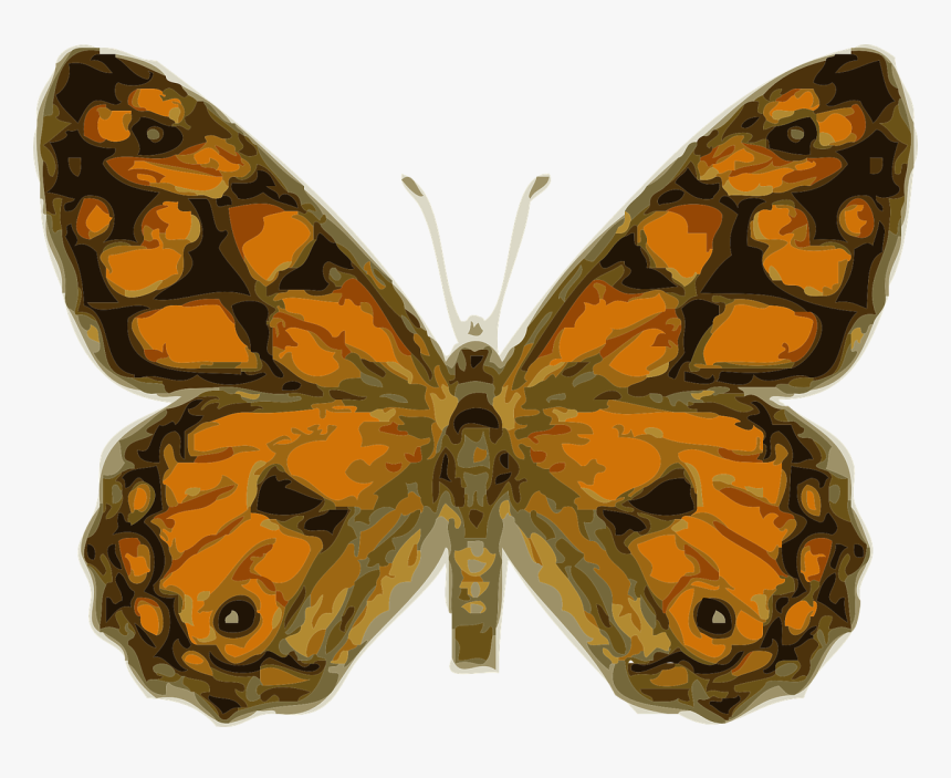 Royalty Free Images Butterfly, HD Png Download