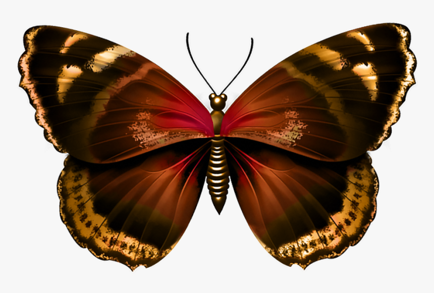 Transparent Background Butterfly Png, Png Download