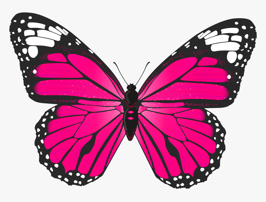 Pink Butterfly Clipart, HD Png Download