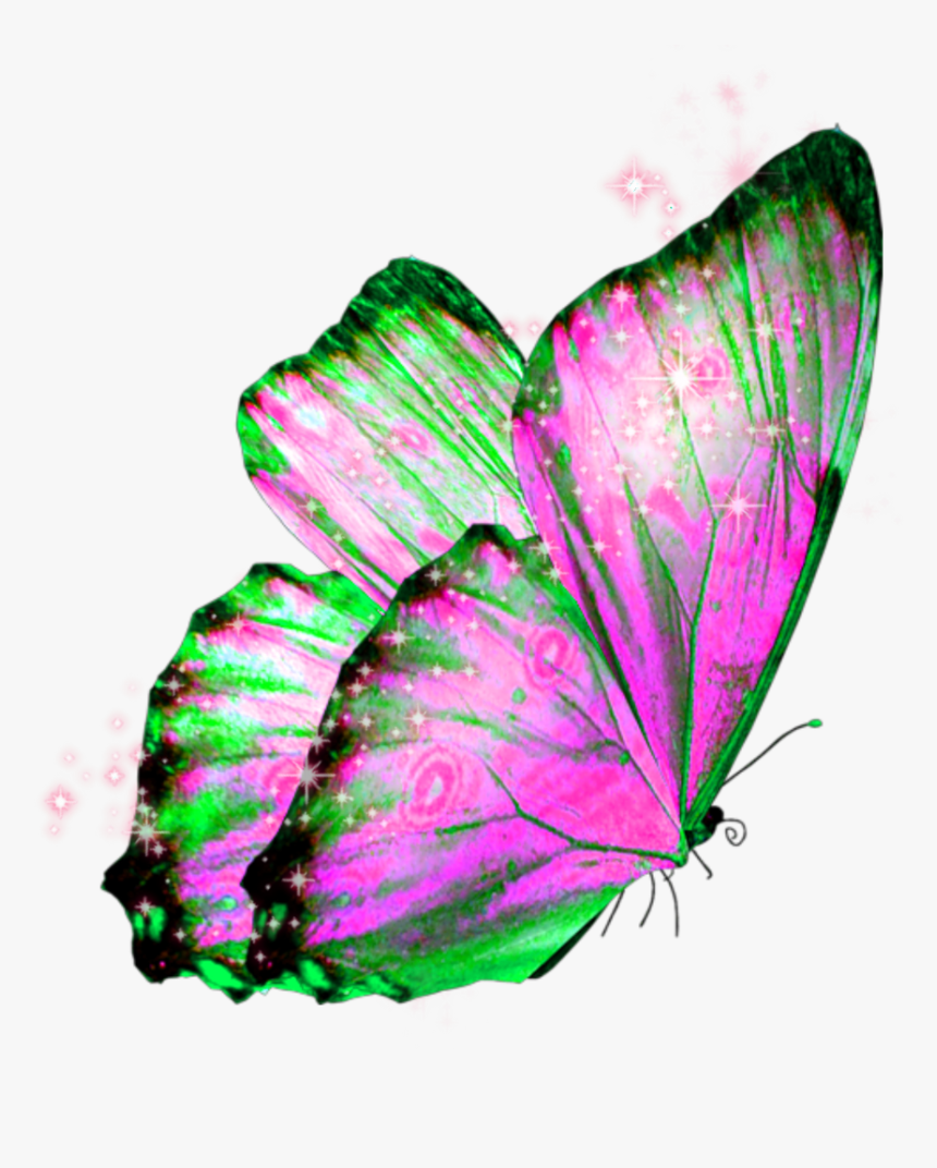 #butterfly #wings #butterflywings #fairy, HD Png Download