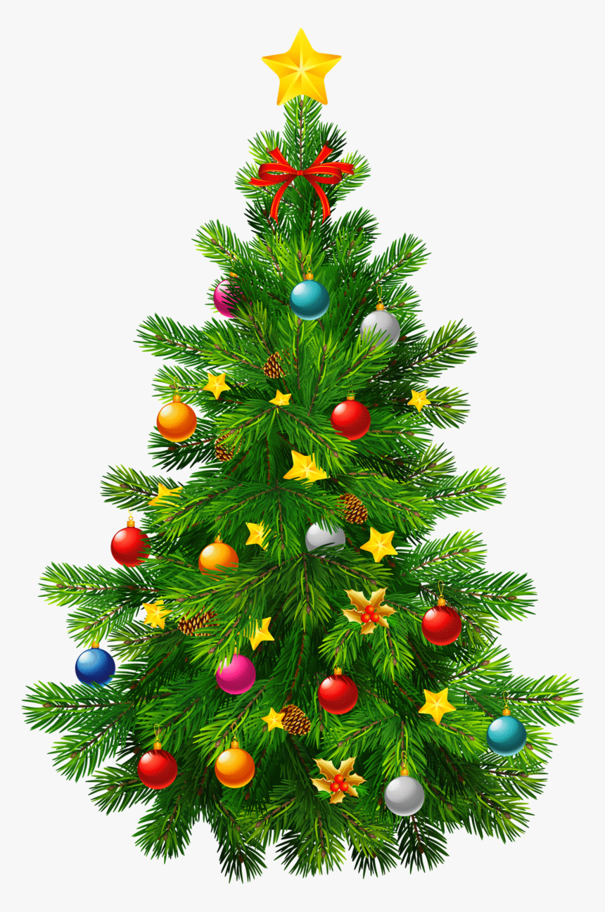 Christmas Tree,christmas Decoration,colorado Spruce,oregon - Transparent Background Christmas Gift Png, Png Download