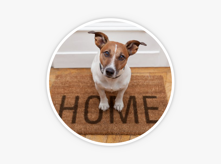 Home Pet Sitting, HD Png Download