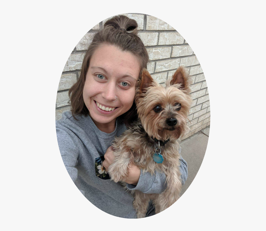 Denver Pro Pet Sitter Rachel W - Yorkshire Terrier, HD Png Download