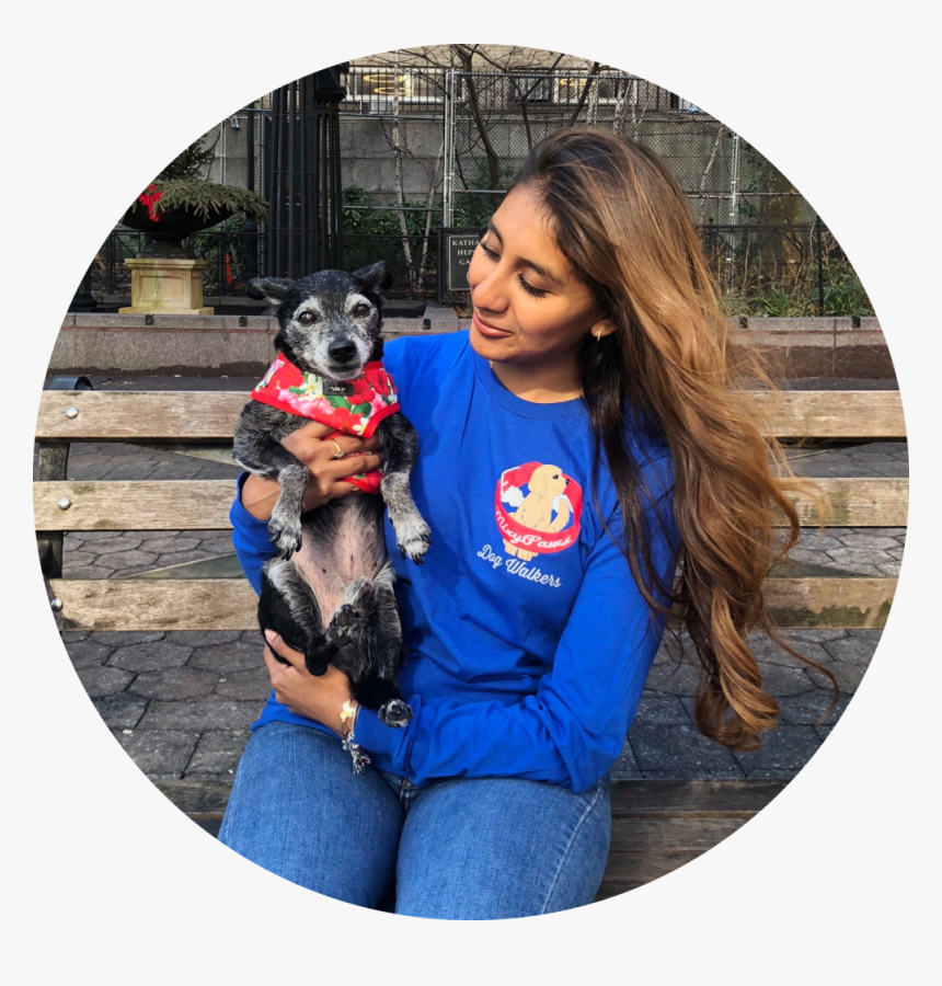 Companion Dog, HD Png Download