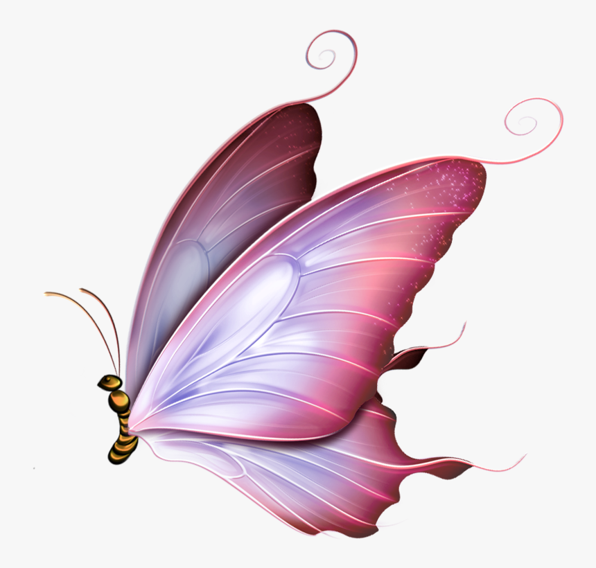 Transparent Pink Butterfly Png - Pink Butterfly Png, Png Download , Transparent  Png Image - PNGitem