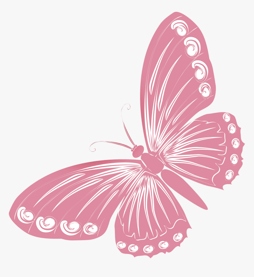 Pink Butterfly Png - Butterfly Pictures For Drawing, Transparent Png