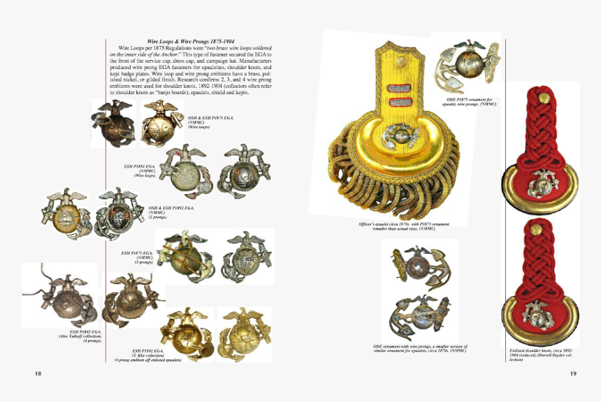 Dung Beetle, HD Png Download