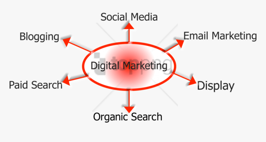 Free Png Download Email Marketing Target Market Png - Institute For Research In Fundamental Sciences, Transparent Png