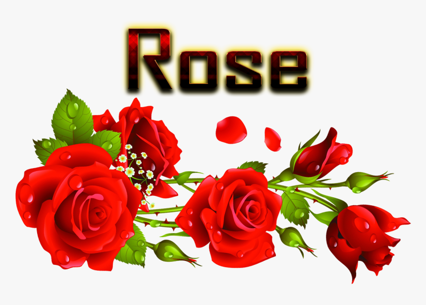 Rose Png Image File - Hd Rose Garden, Transparent Png