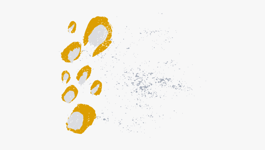 Flock, HD Png Download