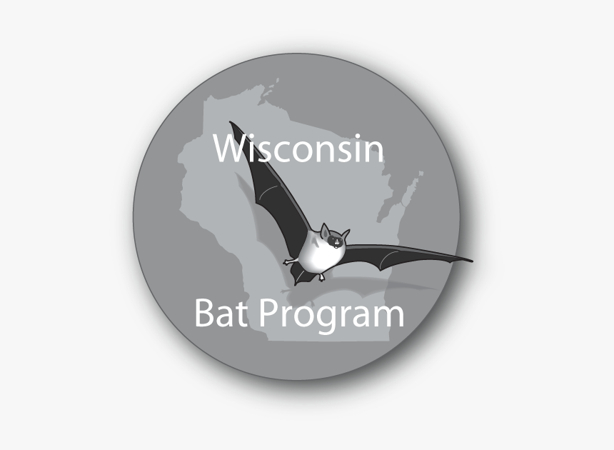 Wisconsin Bat Program Logo - Wisconsin Bat Program, HD Png Download ...