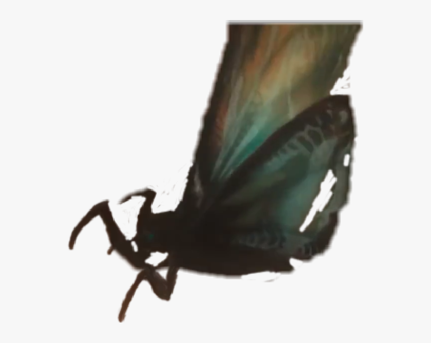 #mothra - Brush-footed Butterfly, HD Png Download